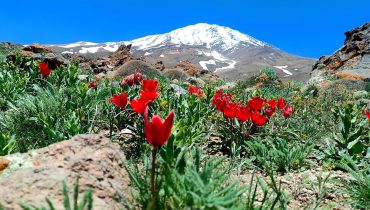 Mount Damavand İran Expedition